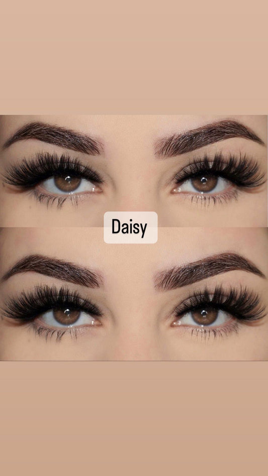 Daisy Strip lashes